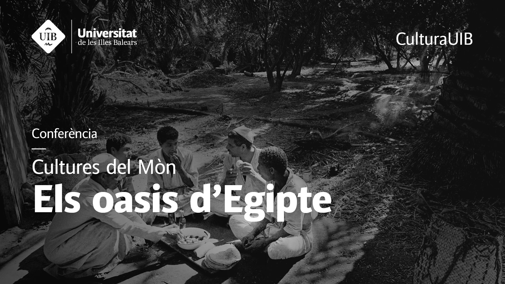 Cultures del Mòn: Els oasis d'Egipte