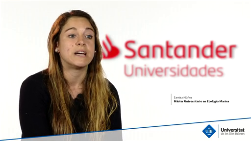 Becas Santander 2019