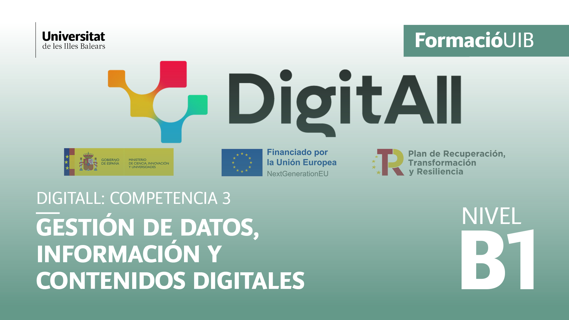 (Level B1) Introduction to data, information and digital content management