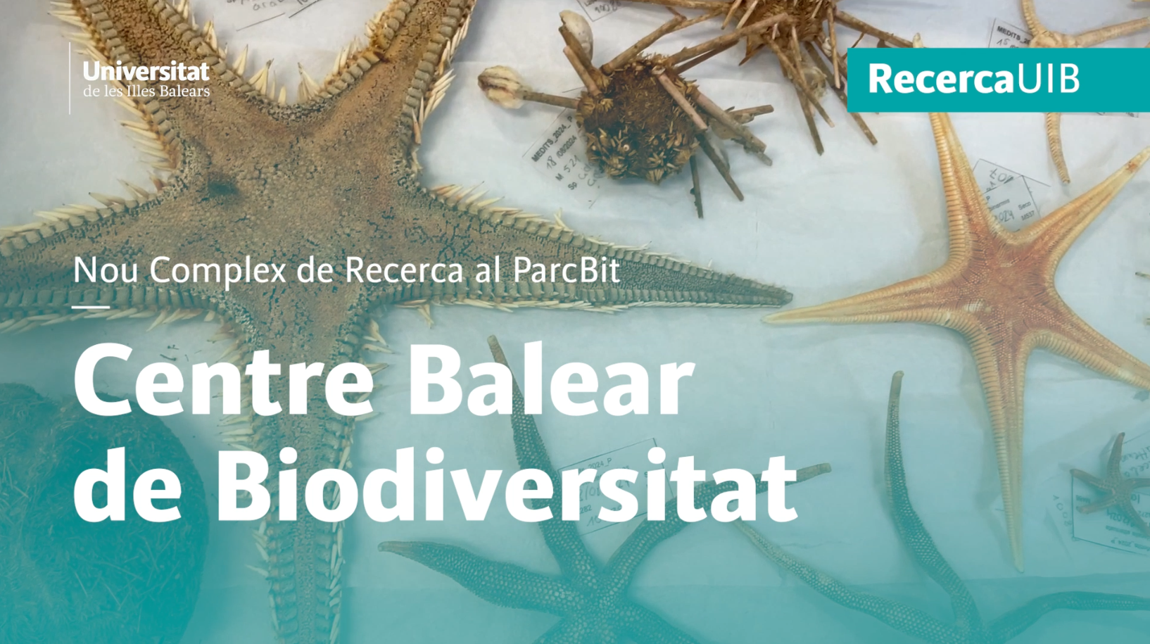 Balearic Biodiversity Centre